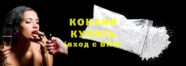 мдпв Верхний Тагил