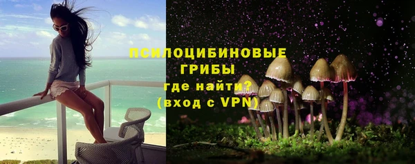 мдпв Верхний Тагил