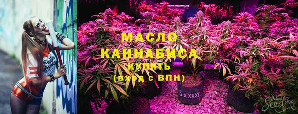 мдпв Верхний Тагил