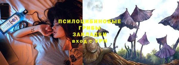 мдпв Верхний Тагил